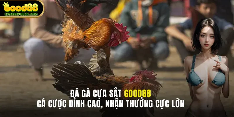 Đá Gà Cựa Sắt - Cá Cược Đỉnh Cao, Nhận Thưởng Cực Lớn